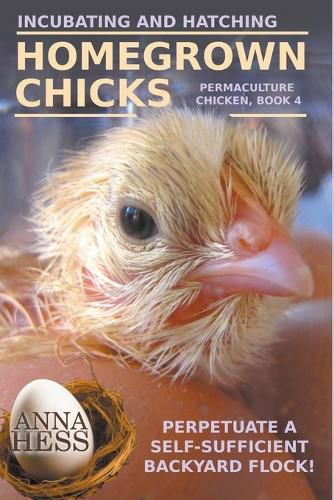 Cover image for Incubating and Hatching Homegrown Chicks