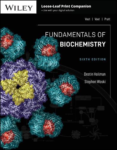 Cover image for Fundamentals of Biochemistry