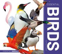 Cover image for Essential Birds