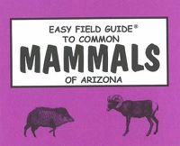 Cover image for Easy Field Guide to Common Mammals of Arizona