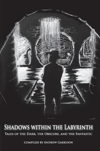 Cover image for Shadows Within the Labyrinth: Tales of the Dark, the Obscure, and the Fantastic