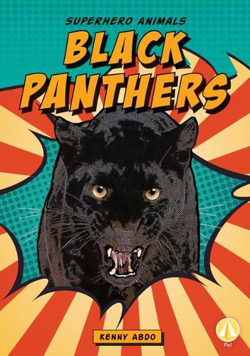 Cover image for Black Panthers