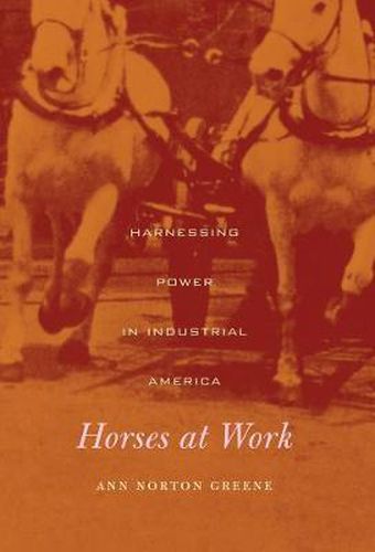 Cover image for Horses at Work: Harnessing Power in Industrial America