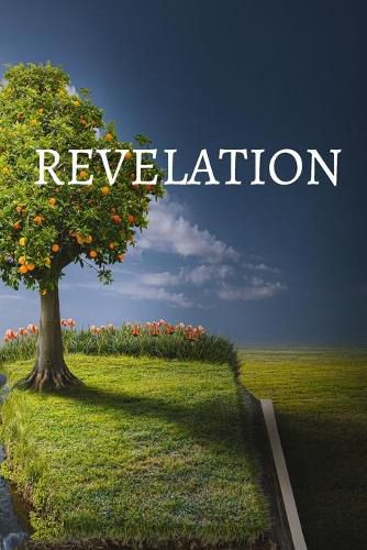 Cover image for Revelation Bible Journal