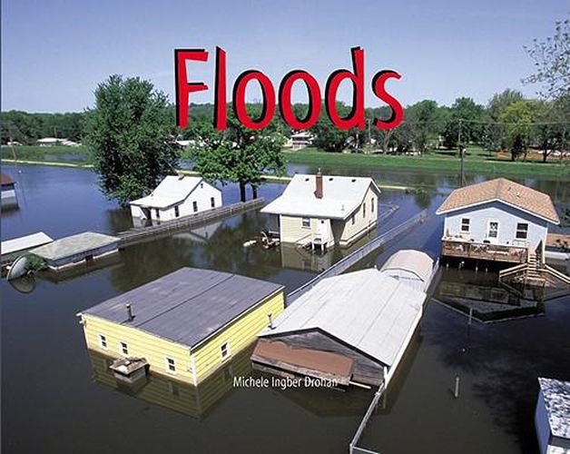 Cover image for Floods