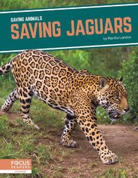 Cover image for Saving Animals: Saving Jaguars