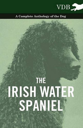 Cover image for The Irish Water Spaniel - A Complete Anthology of the Dog