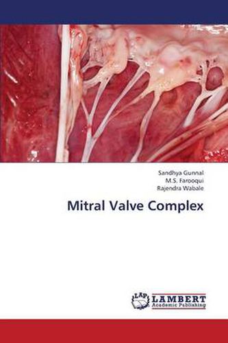 Cover image for Mitral Valve Complex