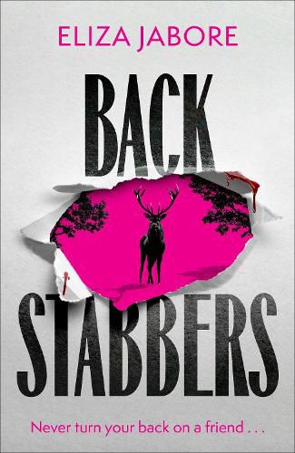 Cover image for Backstabbers