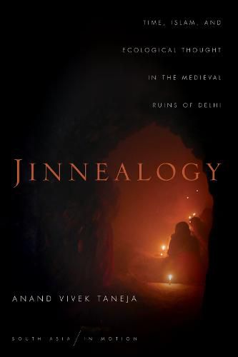 Cover image for Jinnealogy: Time, Islam, and Ecological Thought in the Medieval Ruins of Delhi