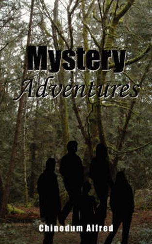 Cover image for Mystery Adventures