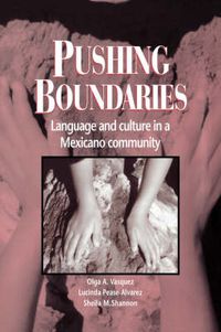 Cover image for Pushing Boundaries: Language and Culture in a Mexicano Community