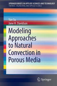 Cover image for Modeling Approaches to Natural Convection in Porous Media