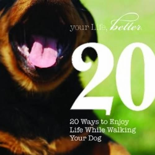 Cover image for 20 Life Lessons That Walking Your Dog Can Teach You