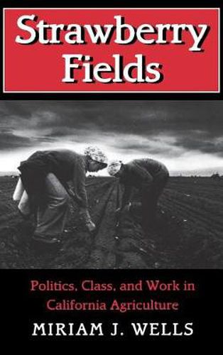 Cover image for Strawberry Fields: Politics, Class and Work in California Agriculture