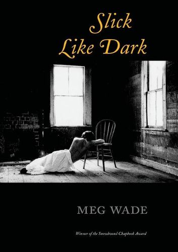 Cover image for Slick Like Dark