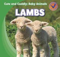 Cover image for Lambs