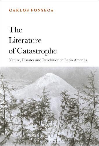 Cover image for The Literature of Catastrophe: Nature, Disaster and Revolution in Latin America