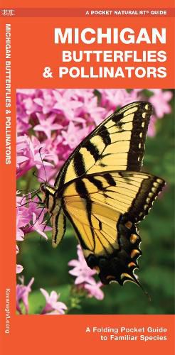 Cover image for Michigan Butterflies & Pollinators: A Folding Pocket Guide to Familiar Species
