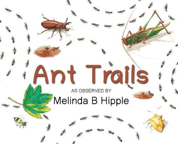 Cover image for Ant Trails