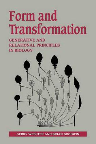 Cover image for Form and Transformation: Generative and Relational Principles in Biology