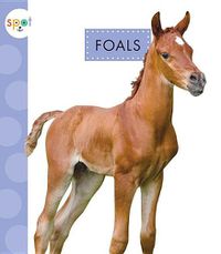 Cover image for Foals