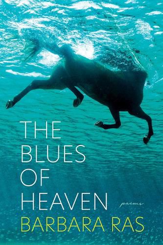 Cover image for The Blues of Heaven: Poems