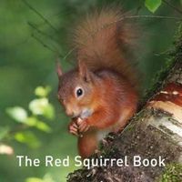 Cover image for The Red Squirrel Book