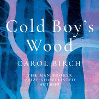 Cover image for Cold Boy's Wood