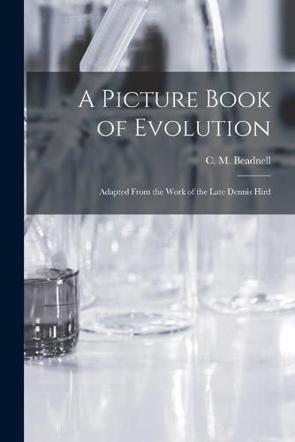 Cover image for A Picture Book of Evolution: Adapted From the Work of the Late Dennis Hird