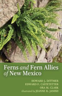 Cover image for The Ferns and Fern Allies of New Mexico