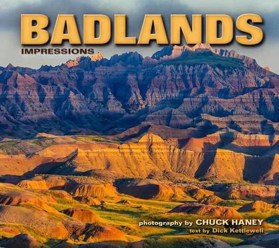 Cover image for Badlands Impressions