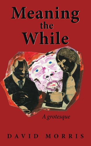 Cover image for Meaning The While