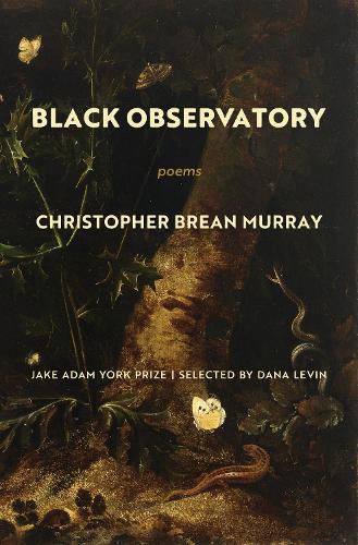 Cover image for Black Observatory: Poems