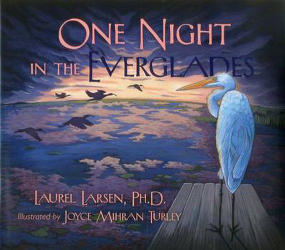 Cover image for One Night in the Everglades