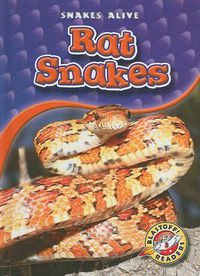 Cover image for Rat Snakes