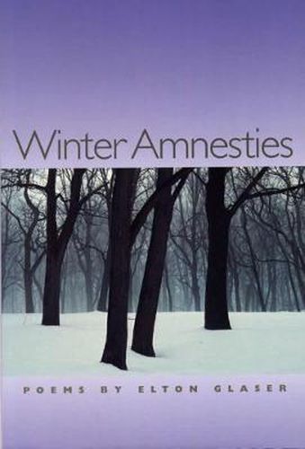 Cover image for Winter Amnesties