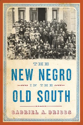 Cover image for The New Negro in the Old South