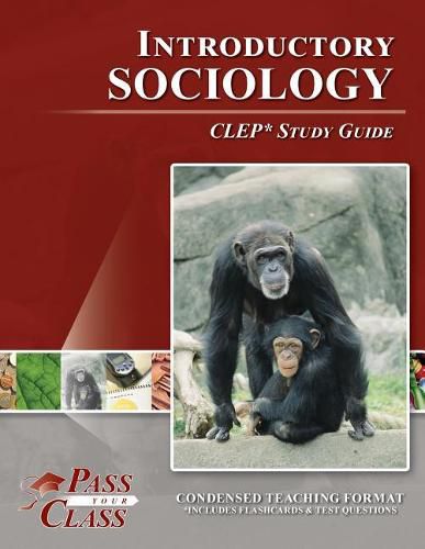 Cover image for Introductory Sociology CLEP Test Study Guide