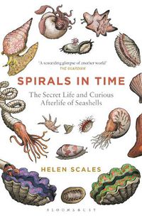 Cover image for Spirals in Time: The Secret Life and Curious Afterlife of Seashells