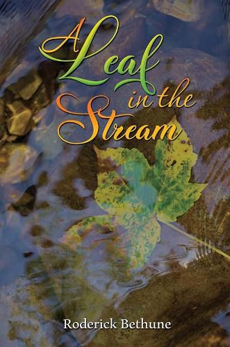 Cover image for A Leaf in the Stream