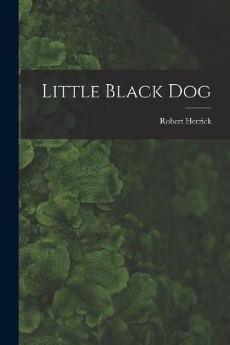 Cover image for Little Black Dog