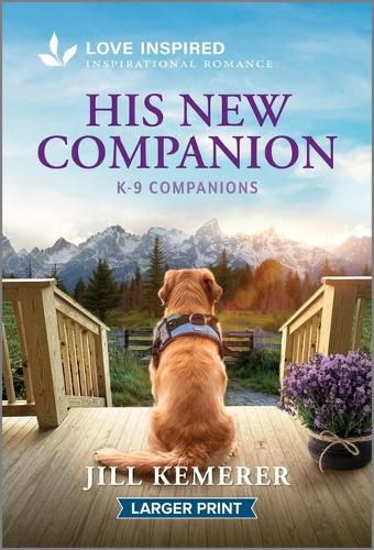 Cover image for His New Companion