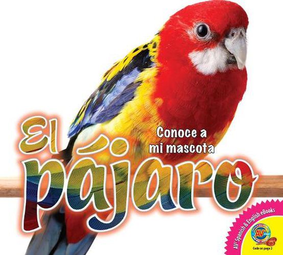 El Pajaro