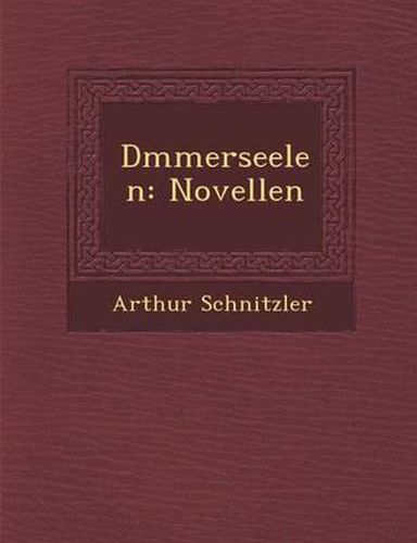 Cover image for D Mmerseelen: Novellen