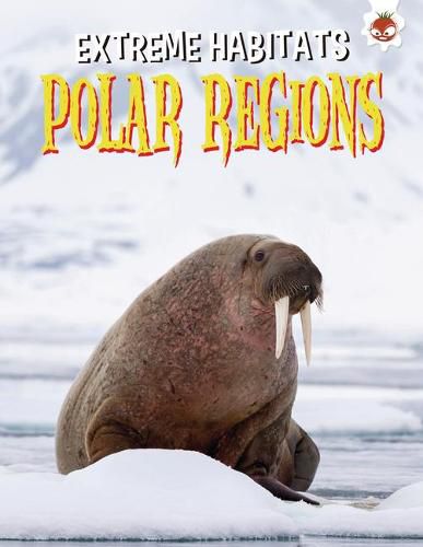 Polar Regions