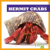 Cover image for Hermit Crabs