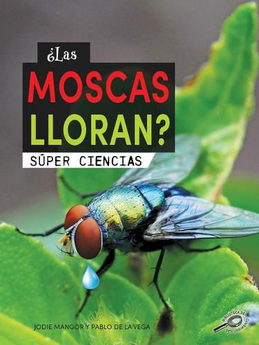 ?Las Moscas Lloran?