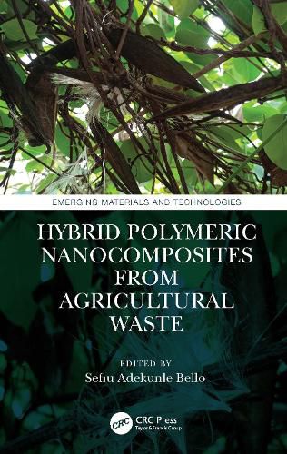 Cover image for Hybrid Polymeric Nanocomposites from Agricultural Waste