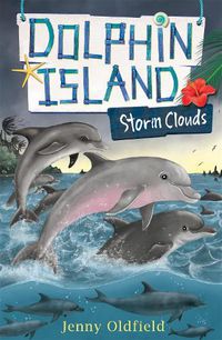 Cover image for Dolphin Island: Storm Clouds: Book 6